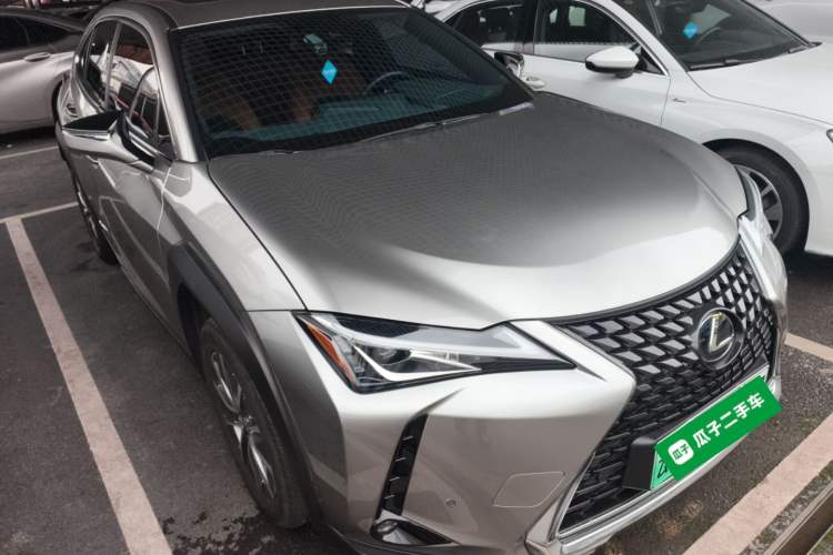 Used Lexus UX New Energy 2020 300e Pure·Joy Edition Exterior 1