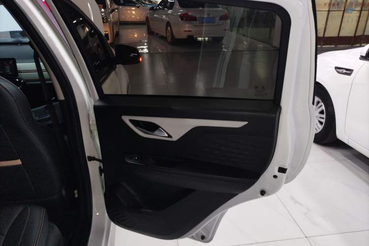 Used SOL E10X 2022 Flower Fairy Design Dandelion