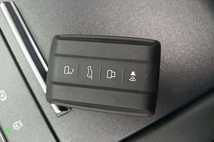 Used Tank 300 2025 2.4T Diesel Version