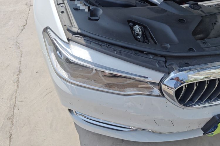 Used BMW 5 Series 2020 530Li Leading Edition Luxury Package