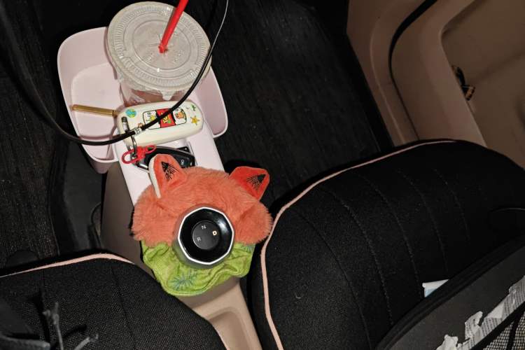 Used Geely Galaxy Panda 2023 Panda Mini 200km Endurance Bear
