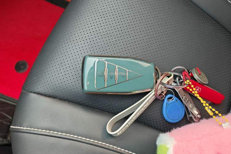 Used Venucia V 2022 260T Black Horse Edition · Idol
