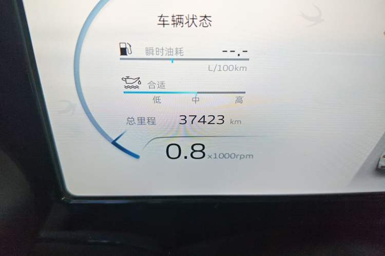 Used Geely Auto Monjaro L 2021 2.0TD DCT EVO Two-Wheel Drive Smart Luxury Version
