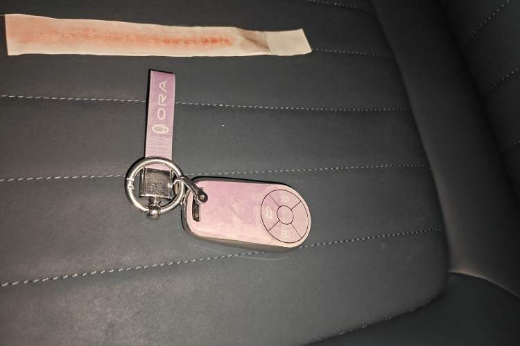 Used ORA Good Cat 2021 400km Standard Range Athena Edition Lithium-Ion Battery