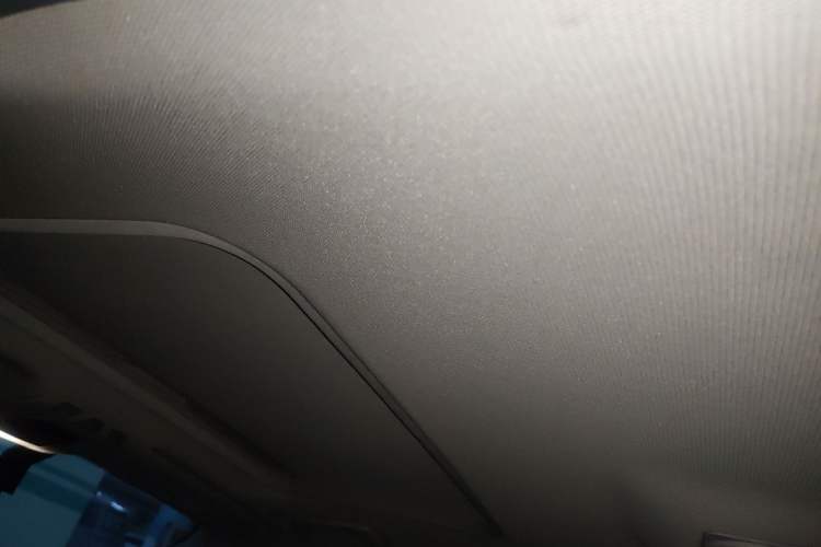 Used BMW 3 Series 2019 320Li M Luxury Package Headliner