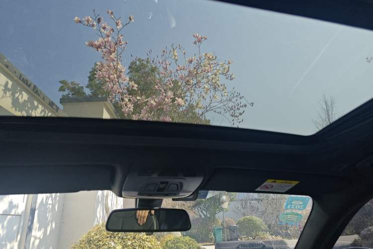 Used BMW 3 Series 2019 320i M Sport Night Edition