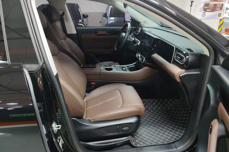 Used Leapmotor C11 2023 Pure Electric 500 Comfort Edition
