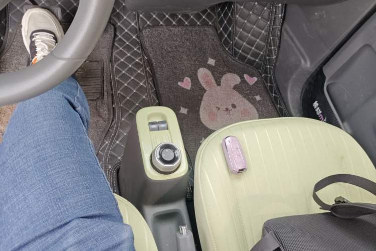 Used Geely Galaxy Panda 2023 Panda Mini 200km Endurance Bear Gear Lever