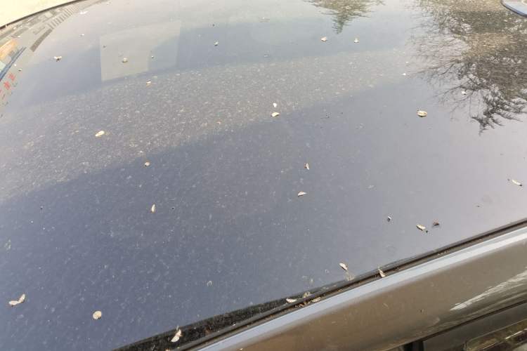 Used CHANGAN UNI-T 2020 1.5T Flagship Version