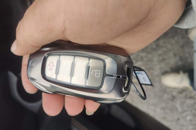 Used Haval DARGO 2024 2.0T DCT Chinese Rural Dog Edition Interior 1