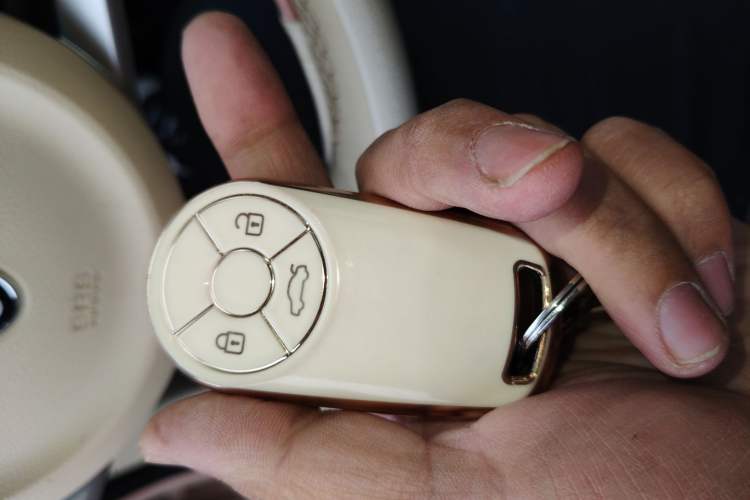 Used ORA Good Cat 2022 Morandi Edition 400km Standard Range Premium Version Lithium Iron Phosphate
