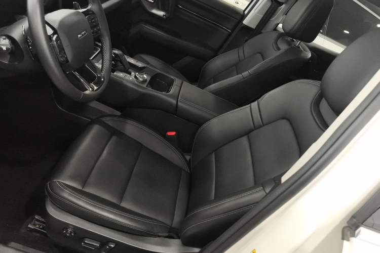 Used Haval H Dog 2023 2.0T Two-Wheel Drive Chaoye Version Plus