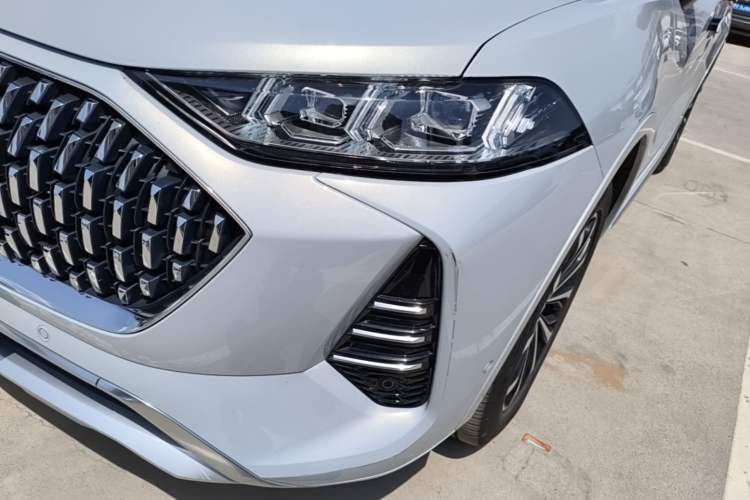 Used Wey Mocha 2021 2.0T Four-Wheel Drive Premium Edition