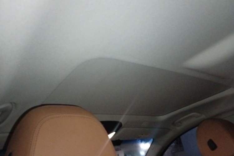 Used BMW 5 Series 2018 528Li Launch Special Edition