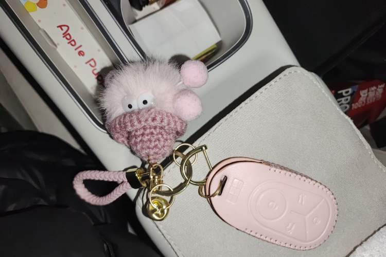 Used Geely Galaxy Geome 2025 310km Dream Edition