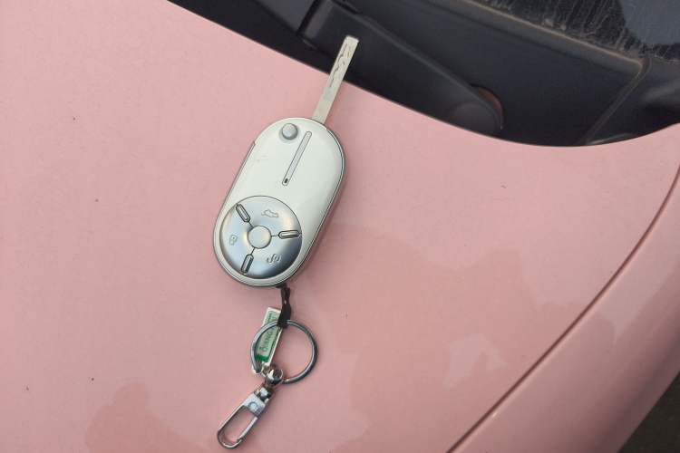 Used Bestune Pony 2025 222km Range Elegant Horse
