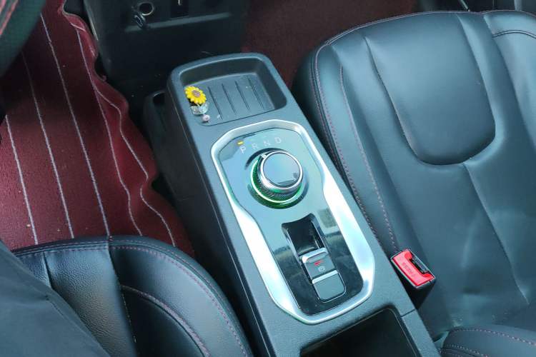 Used Dayun Yuehu 2021 32.85 kWh Two-Wheel-Drive Sprite Version