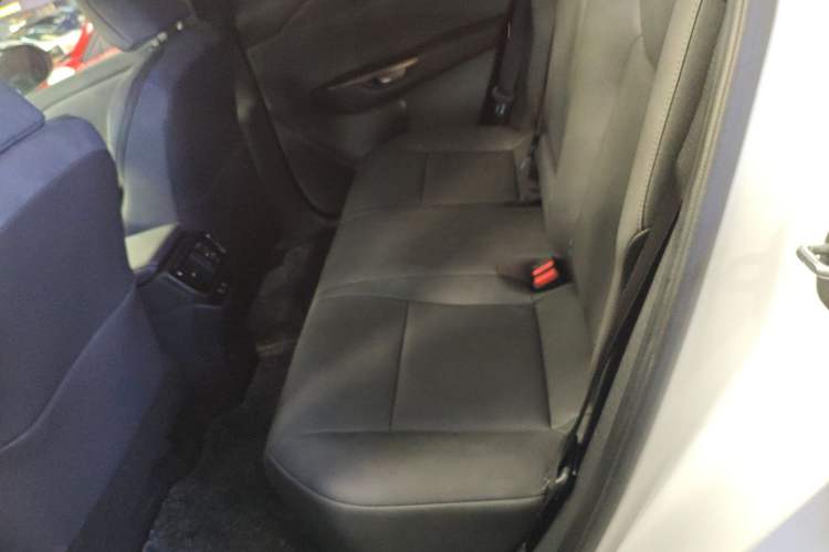 Used Lexus RZ 2023 450e All-Wheel Drive Luxury Edition Left Rear Seat