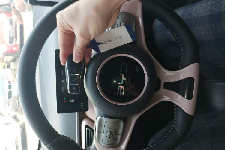 Used BYD Seagull 2025 305 km Free Version