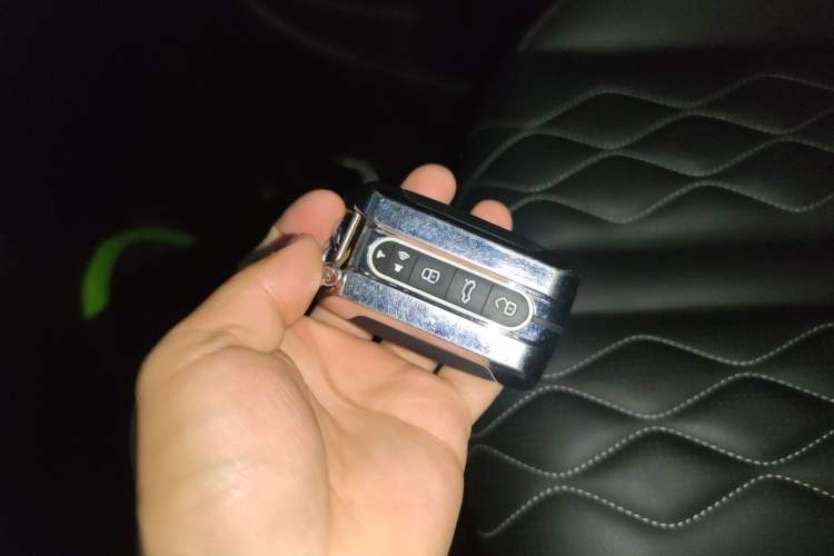 Used Tank 300 2024 2.0T Challenger