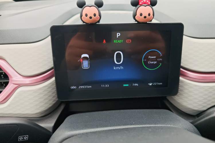 Used SOL E10X 2022 Flower Fairy Style Baby's Breath