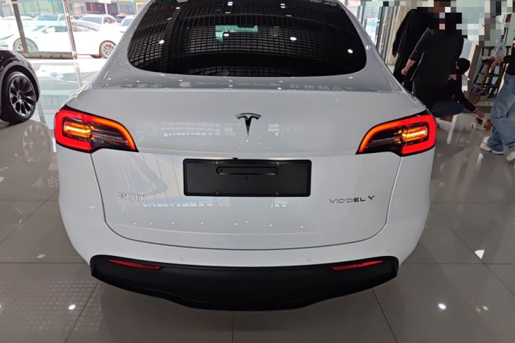 Used Tesla Model Y 2021 Long-Range All-Wheel-Drive Version 3D7