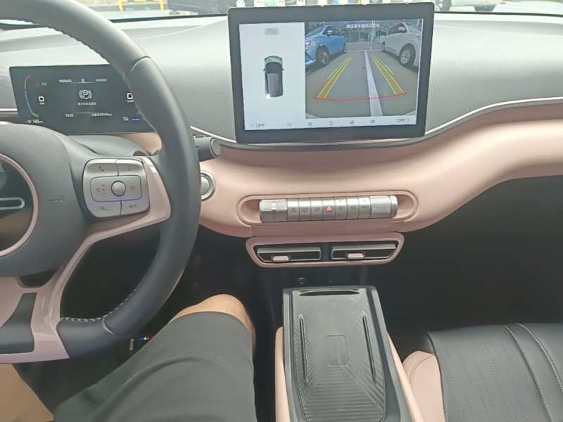 Used BYD Seagull 2023 Free Edition — 13