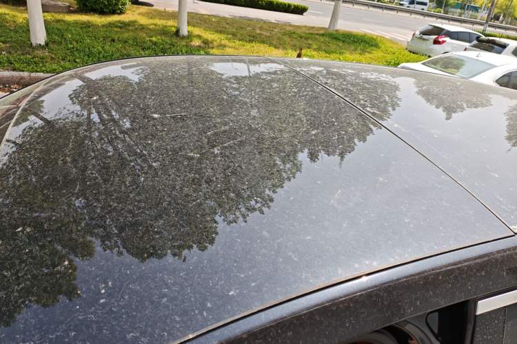 Used Li Auto L8 2023 Pro Model Roof