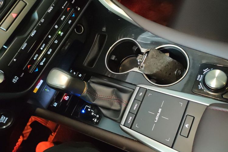 Used Lexus RX 2020 Revised Version 300 Two-Wheel Drive Comfort Edition