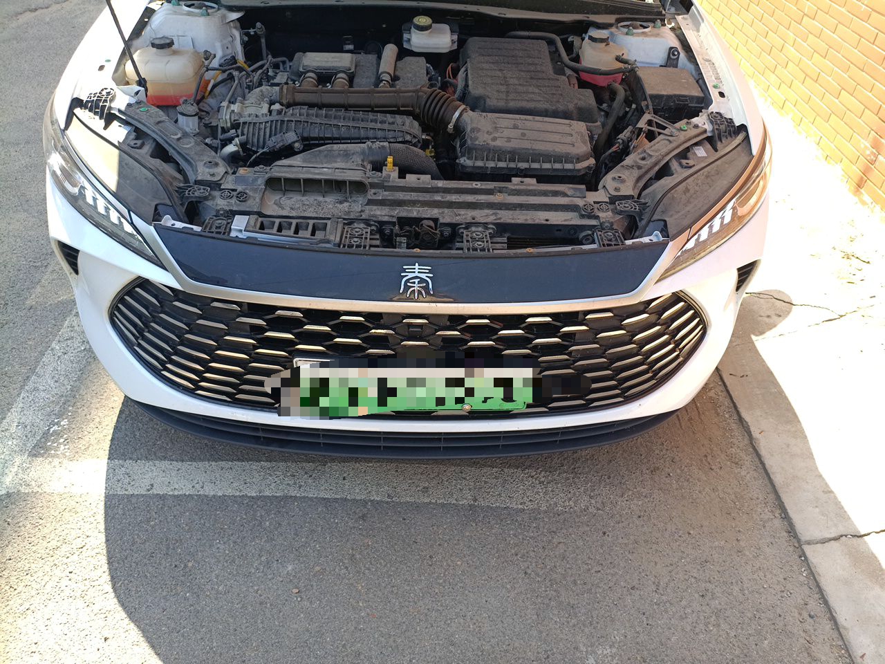 BYD Qin PLUS 2025 DM-i Smart Drive 55KM Leading Model — снимка 19