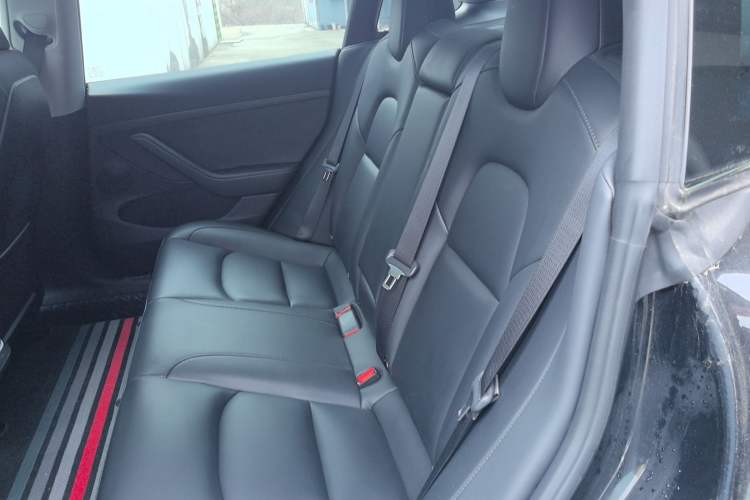 Used Tesla Model 3 2022 Rear-Wheel-Drive Version Left Rear Seat