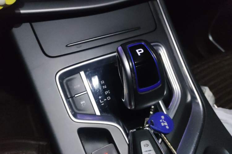 Used Livan Maple 80V 