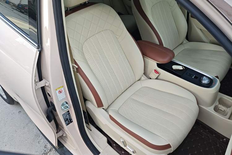 Used ORA Good Cat 2022 Morandi Edition 400km Standard Range Premium Version Lithium Iron Phosphate
