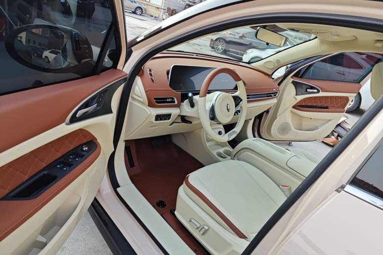 Used ORA Good Cat 2024 401 km Luxury Version