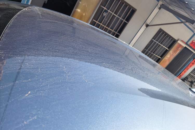 Used BYD Dolphin 2024 Honor Edition 420km Freedom Version
