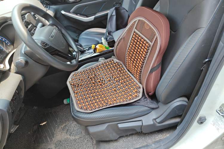 Used Venucia D60EV 2022 Standard Range Smart Drive Version Left Front Seat