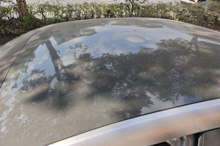 Used Geometry A 2019 High-Performance Standard Range Power Edition