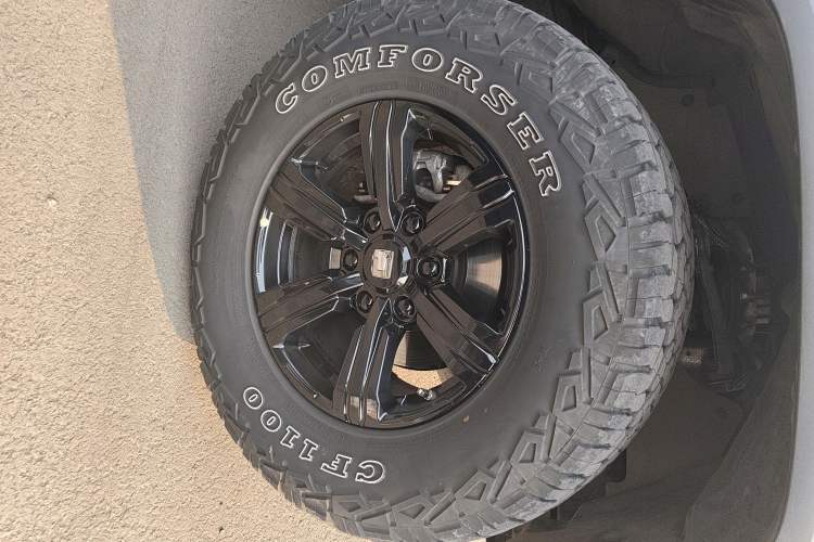 Used Tank 300 2024 2.0T Conqueror
