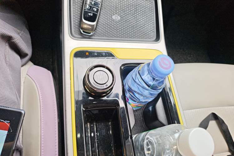 Used AION Y 2022 70 Enjoyment Edition Lithium Iron Phosphate Gear Lever