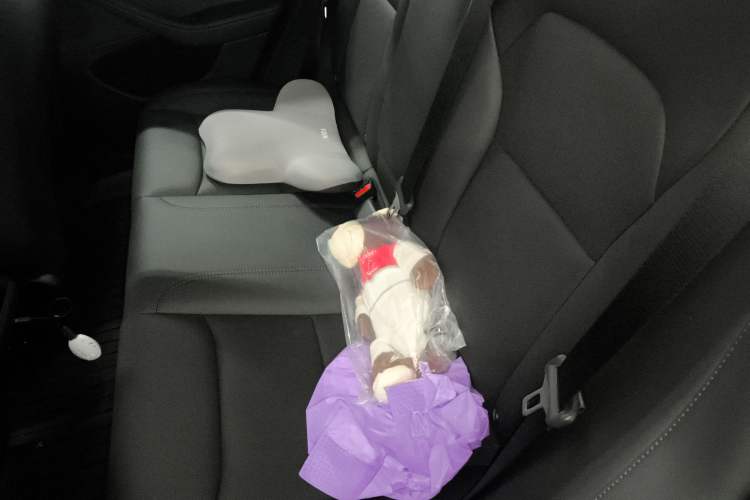 Used Tesla Model 3 2024 High-Performance All-Wheel-Drive Version