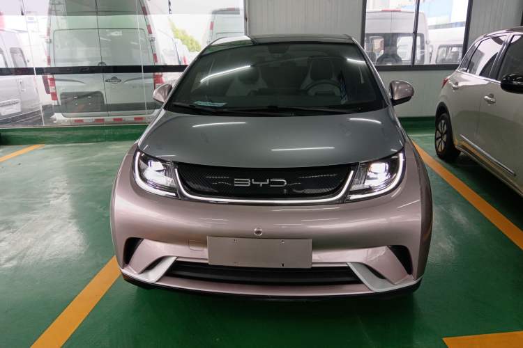 Used BYD Dolphin 2021 405 km Fashion Edition
