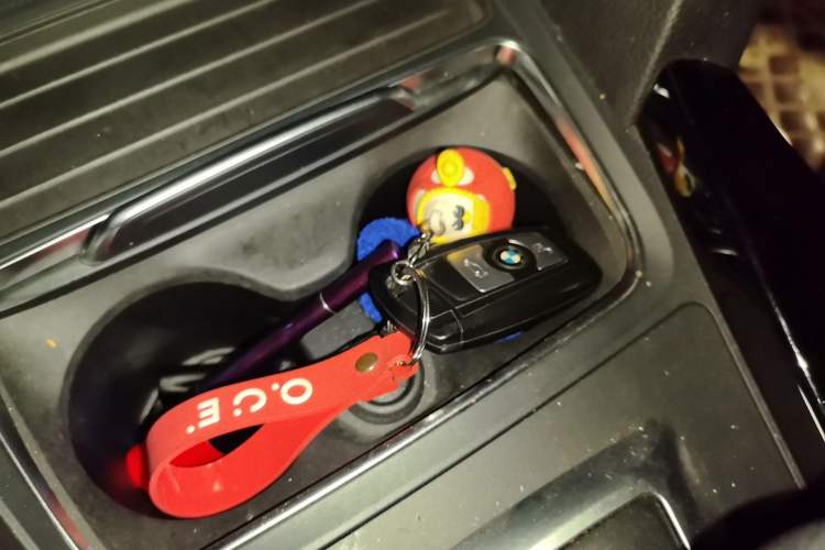 Used BMW 3 Series 2017 318Li Fashion Model Vehicle Key