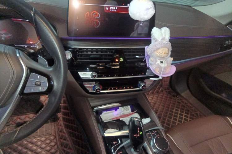 Used BMW 5 Series 2021 530Li Leading Luxury Package
