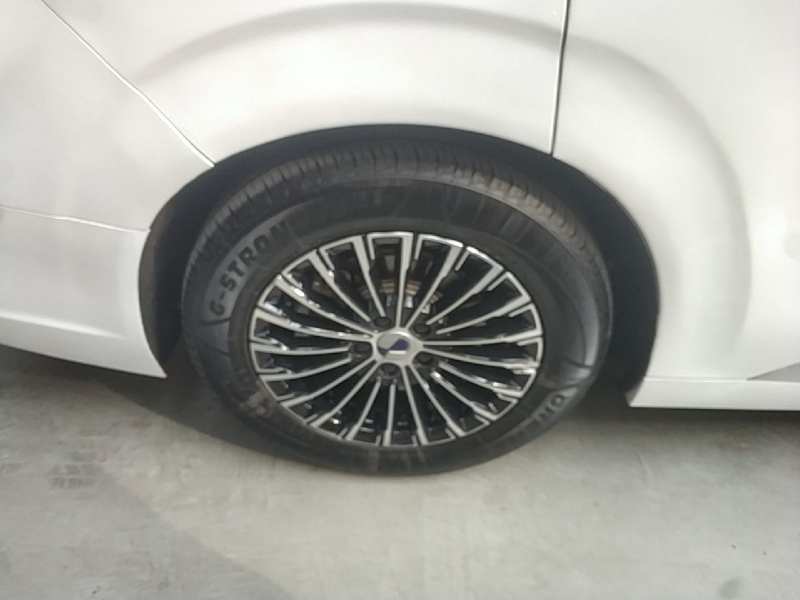 Used Denza D9 2022 DM-i 1040 Prestige Model — 25