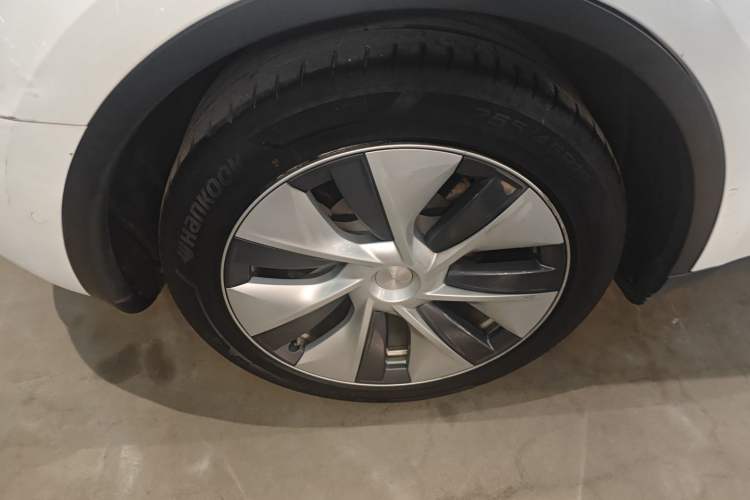 Used Tesla Model Y 2021 Standard Range Rear-Wheel Drive Version
