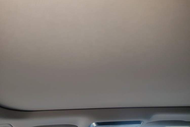 Used Hongqi H9 2020 2.0T Smart Connect Flagship Edition Headliner