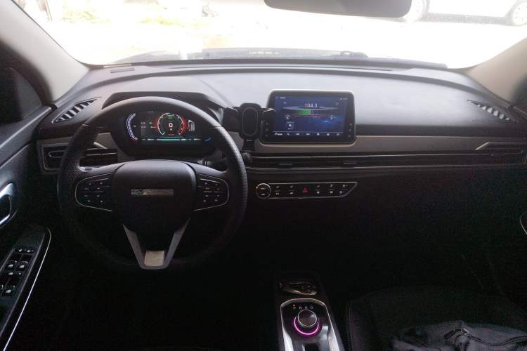 Used Dayun Yuehu 2022 30.66 kWh Two-Wheel Drive VIP Edition
