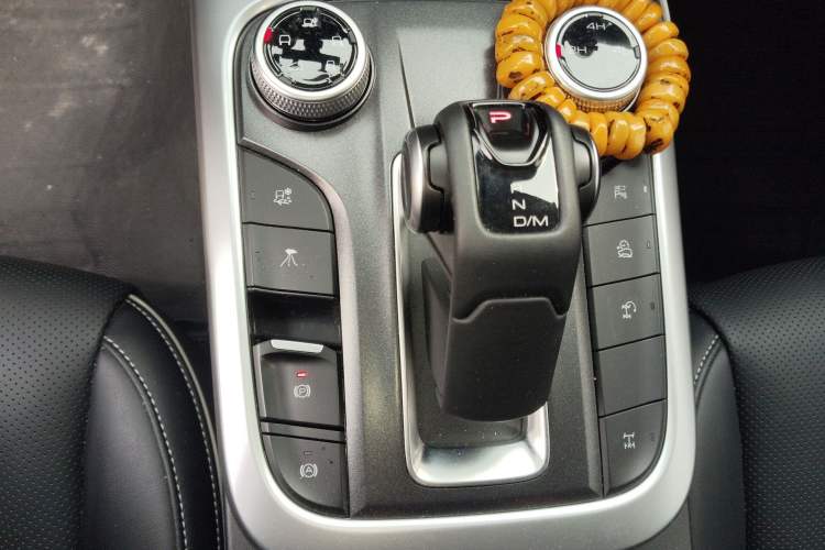 Used Tank 300 New Energy 2024 Hi4-T Gear Lever