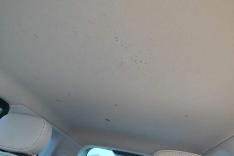 Used Qiyuan Lumin 2022 155 km – Refreshingly Sweet Edition
