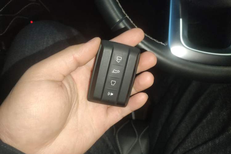 Used Tank 300 2024 2.0T Challenger